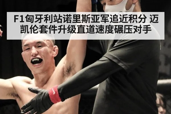 F1匈牙利站诺里斯亚军追近积分 迈凯伦套件升级直道速度碾压对手